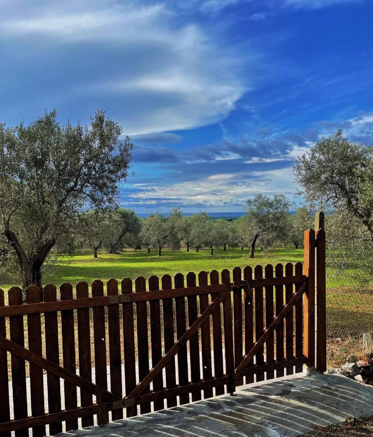 Agriturismo Podere Campalto Campiglia Marittima Zewnętrze zdjęcie