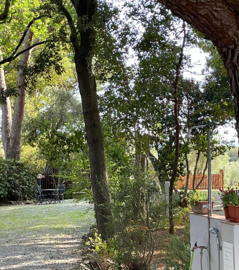 Agriturismo Podere Campalto Campiglia Marittima Zewnętrze zdjęcie