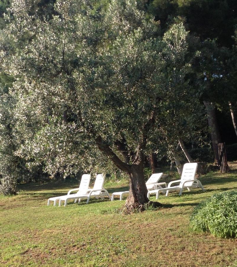 Agriturismo Podere Campalto Campiglia Marittima Zewnętrze zdjęcie