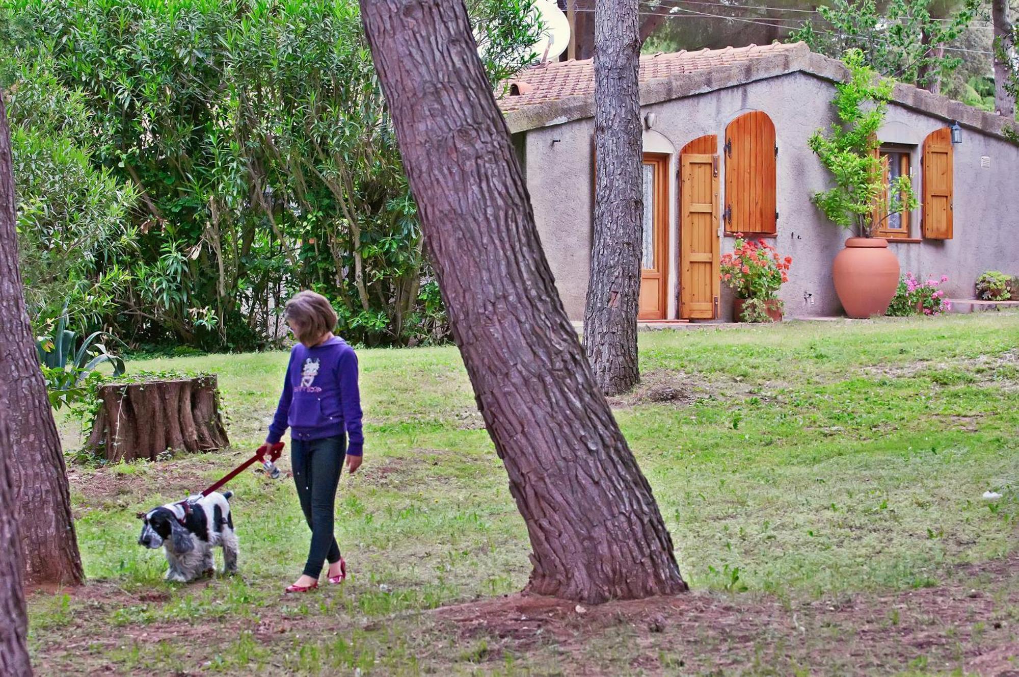 Agriturismo Podere Campalto Campiglia Marittima Pokój zdjęcie