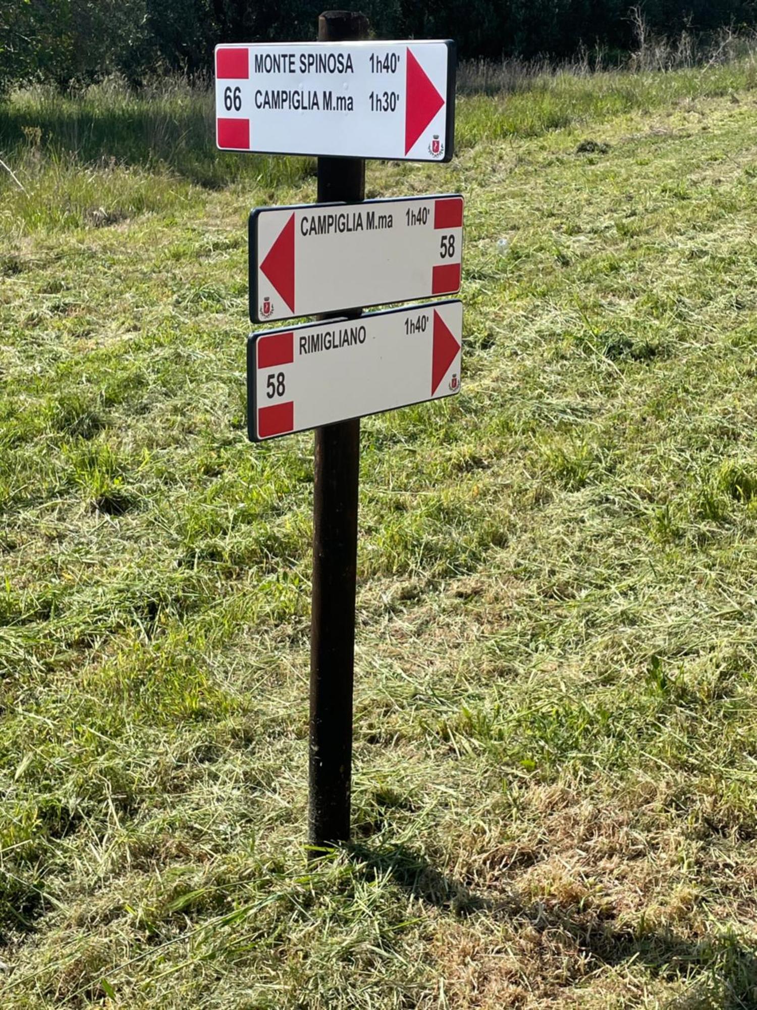 Agriturismo Podere Campalto Campiglia Marittima Zewnętrze zdjęcie