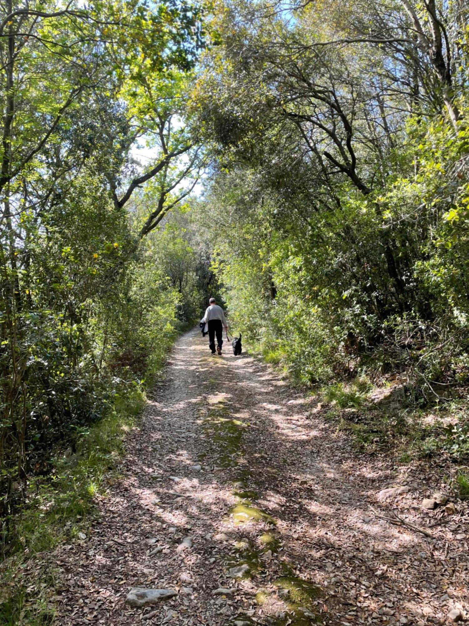 Agriturismo Podere Campalto Campiglia Marittima Zewnętrze zdjęcie