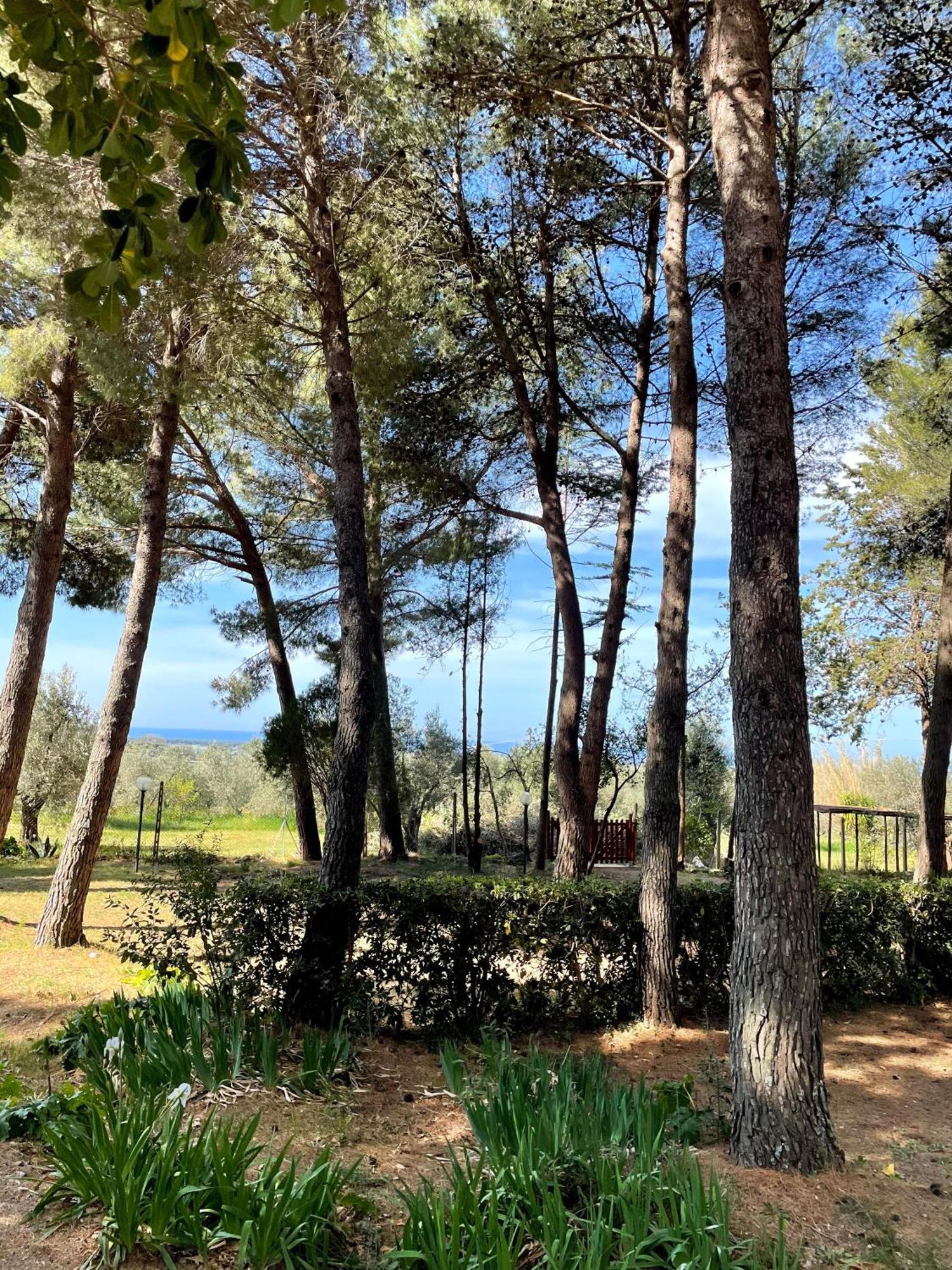 Agriturismo Podere Campalto Campiglia Marittima Zewnętrze zdjęcie