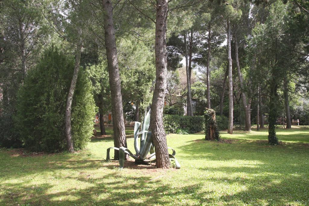 Agriturismo Podere Campalto Campiglia Marittima Zewnętrze zdjęcie