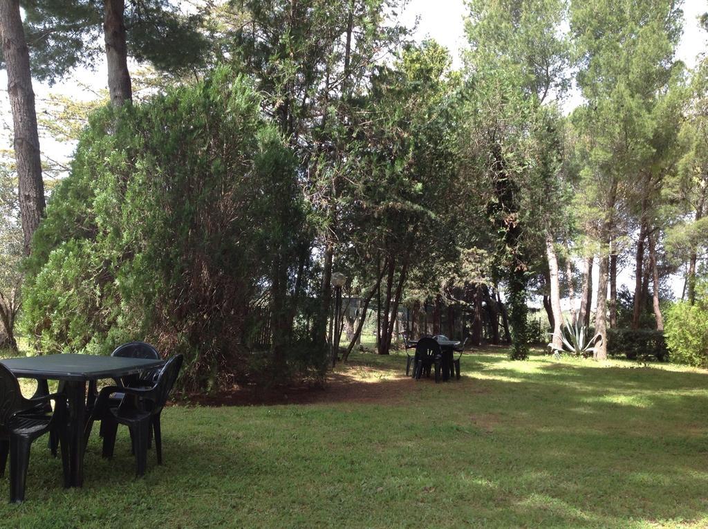 Agriturismo Podere Campalto Campiglia Marittima Zewnętrze zdjęcie