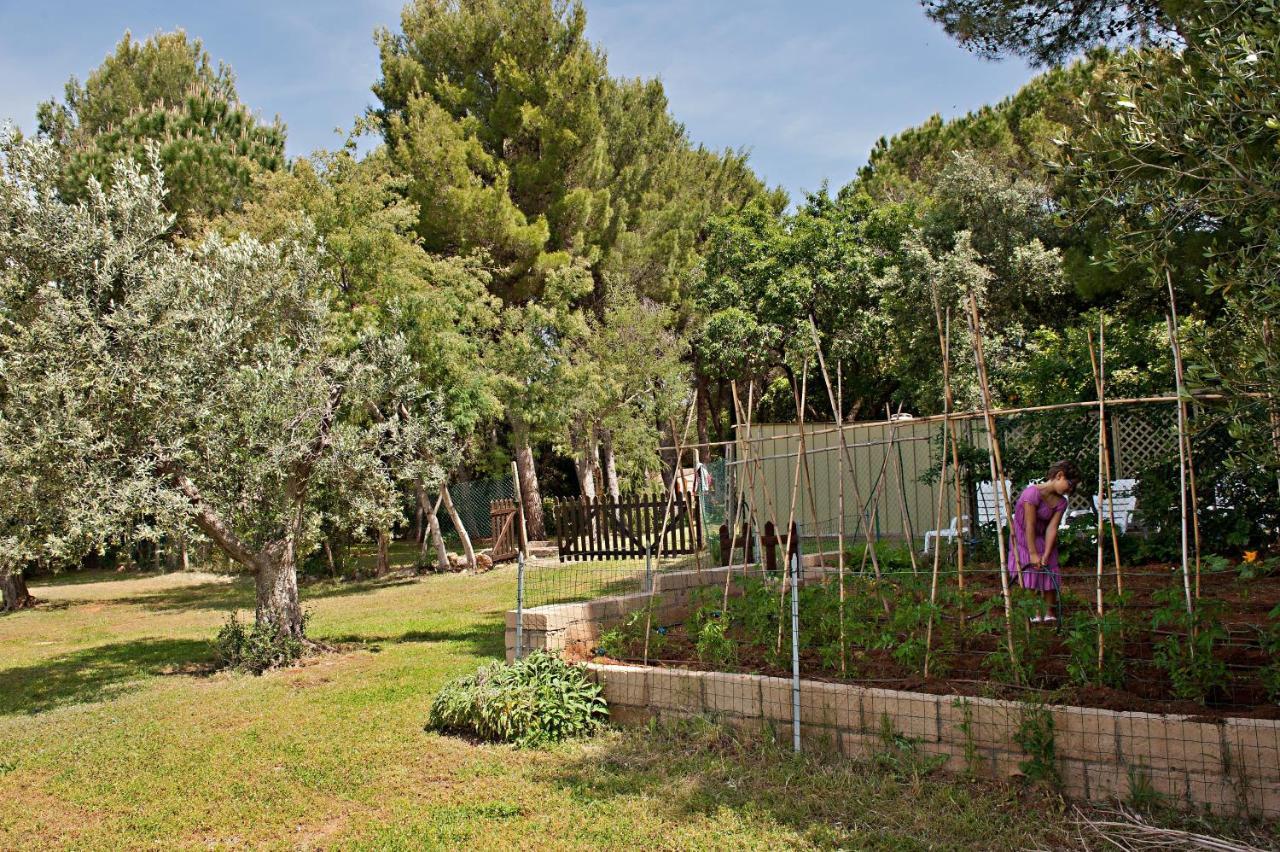 Agriturismo Podere Campalto Campiglia Marittima Zewnętrze zdjęcie