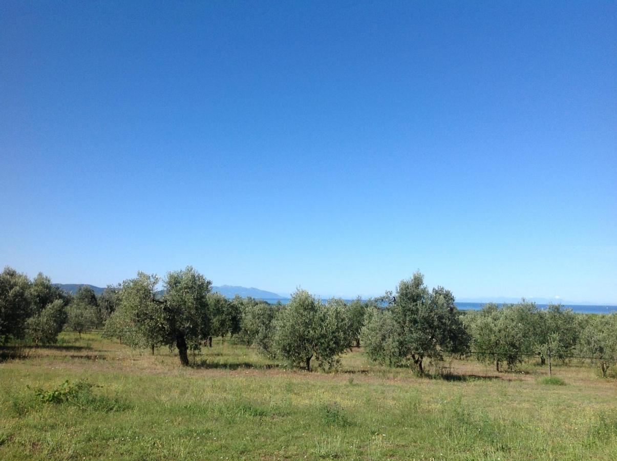Agriturismo Podere Campalto Campiglia Marittima Zewnętrze zdjęcie